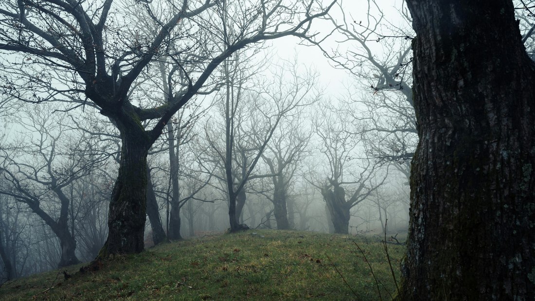 Message, Authority, and Instruction- Part 4 – Responding to Fear