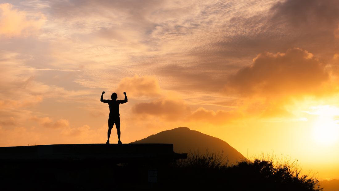 Renewal, Guidance, and Honor